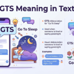 gts meaning in text