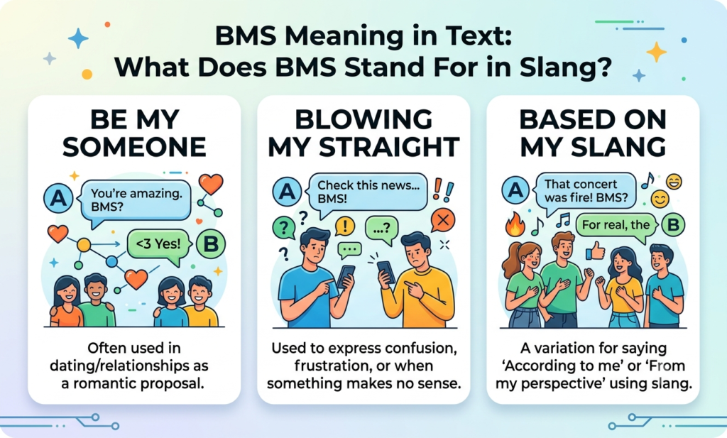 bms meaning in text