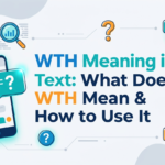 wth meaning in text